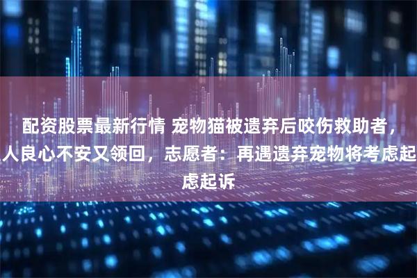 配资股票最新行情 宠物猫被遗弃后咬伤救助者，主人良心不安又领回，志愿者：再遇遗弃宠物将考虑起诉